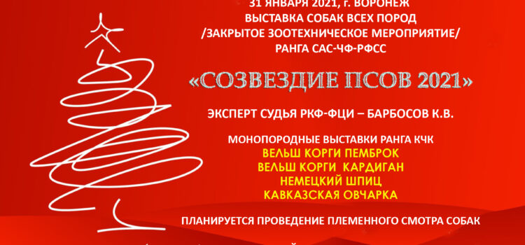 31 января 2021 Закрытое зоотехническое мероприятие (Выставка собак) ранга САС-Чемпион Федерации + монопородные выставки 31 января 2021 Закрытое зоотехническое мероприятие (Выставка собак) ранга САС-Чемпион Федерации + монопородные выставки