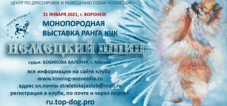 31 января 2021 Закрытое зоотехническое мероприятие — Монопородная выставка ранга КЧК немецкий шпиц 31 января 2021 Закрытое зоотехническое мероприятие — Монопородная выставка ранга КЧК немецкий шпиц