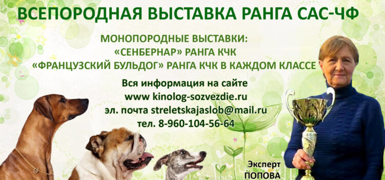 ВНИМАНИЕ! ИЗМЕНЕНИЕ ДАТЫ ВЫСТАВОК! ВНИМАНИЕ! ИЗМЕНЕНИЕ ДАТЫ ВЫСТАВОК!