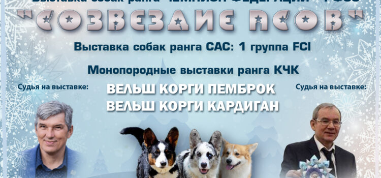 28 января 2024 Всероссийская выставка собак ранга САС-Чемпион Федерации РФСС + САС 1 гр. + монопородные выставки
