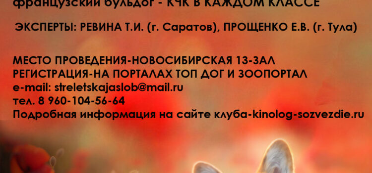 10 августа 2024 Всероссийская выставка собак ранга САС-Чемпион Федерации РКФ + САС 9 гр. + монопородные выставки