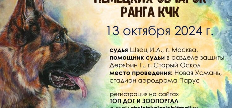 13 октября 2024 Монопородная выставка Немецкая овчарка ранг КЧК