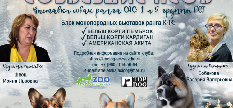 15 февраля 2026 Всероссийская выставка собак ранга САС-ЧФ+ САС 1 и 5 гр.,  + монопородные выставки (Вельш корги пемброк, вельшкорги кардиган, американская акита))