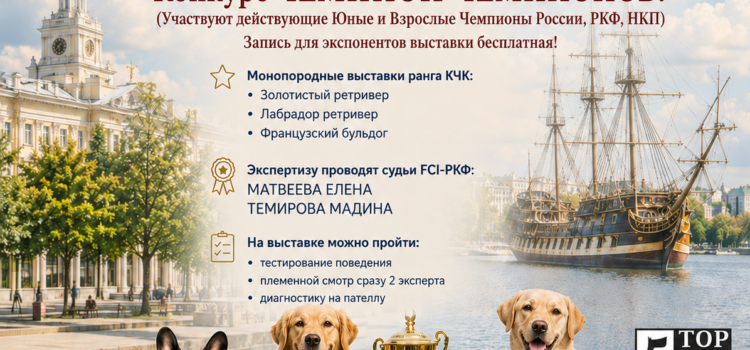 15 августа 2026 Всероссийская выставка собак ранга САС-ЧРКФ  + монопородные выставки Золотистый ретривер, лабрадор ретривер, французский бульдог